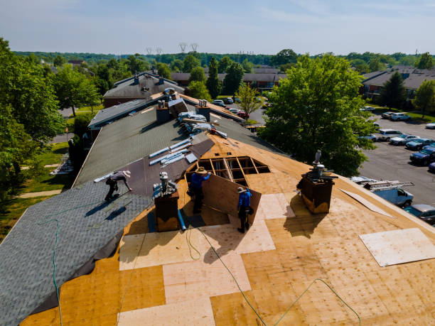 Roof Waterproofing Services in Hamburg, AR