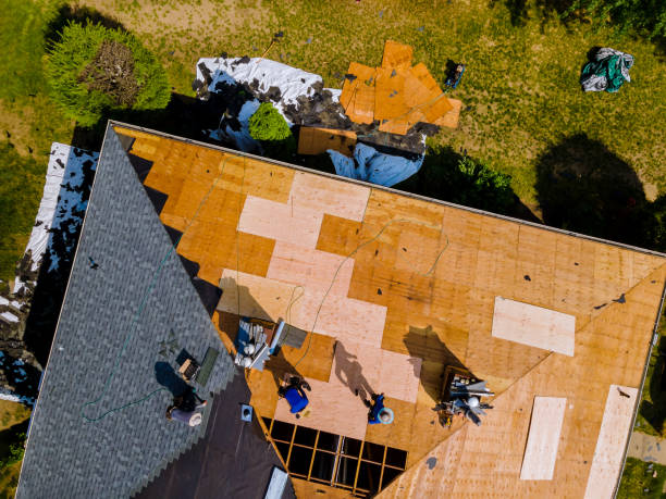 Trusted Hamburg, AR Roofing Contractor Experts